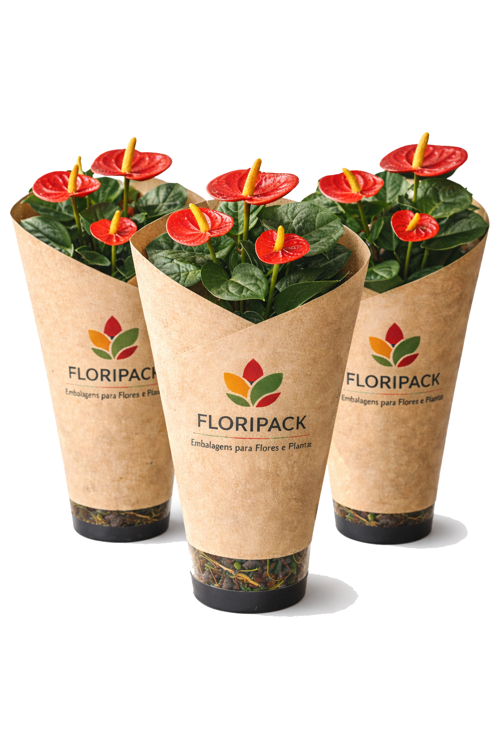 Embalagem-para-orquidea-10-png1.png